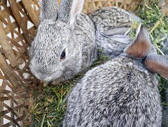 3DM速报：《英雄联盟》皮肤改名不许色色 《战神4》PC版配置公开